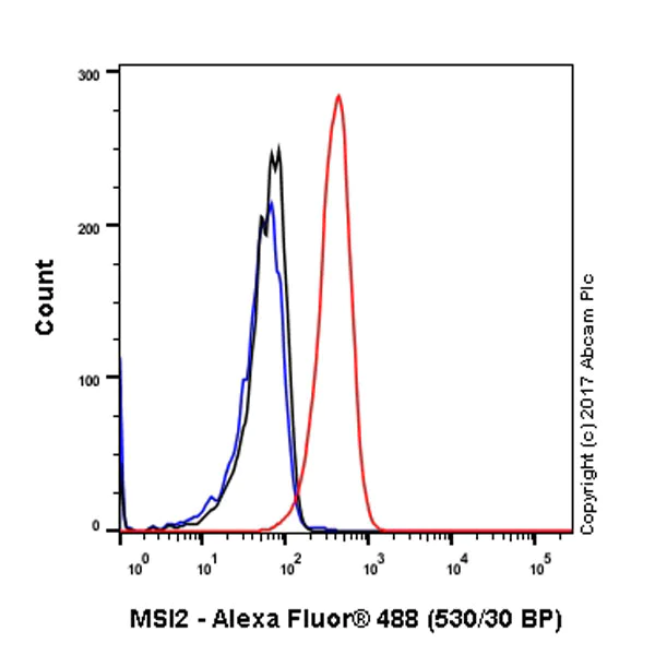 Flow Cytometry (Intracellular) - Anti-MSI2 antibody [EP1305Y] (AB76148)