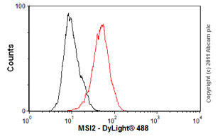 Flow Cytometry (Intracellular) - Anti-MSI2 antibody [EP1305Y] - BSA and Azide free (AB221789)