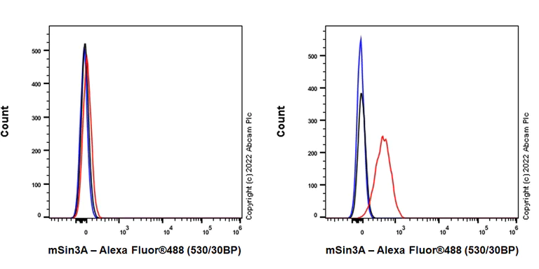 Flow Cytometry (Intracellular) - Anti-mSin3a antibody [EPR27103-53] - BSA and Azide free (AB307198)
