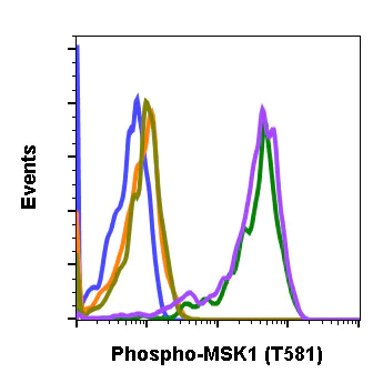 Flow Cytometry - Anti-MSK1 (phospho T581) antibody [MSK1T581-A5] (AB278550)