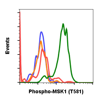 Flow Cytometry - Anti-MSK1 (phospho T581) antibody [MSK1T581-A5] (AB278550)