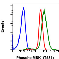 Flow Cytometry - Anti-MSK1 (phospho T581) antibody [MSK1T581-A5] (AB278550)
