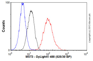 Flow Cytometry (Intracellular) - Anti-MST3 antibody [EP1468Y] (AB51137), expandable thumbnail