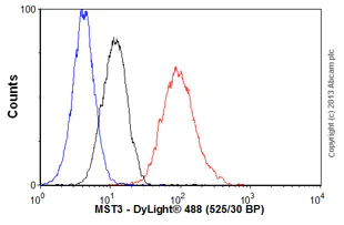 Flow Cytometry (Intracellular) - Anti-MST3 antibody [EP1468Y] (AB51137)