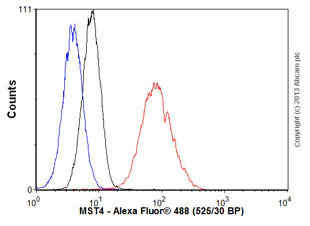 Flow Cytometry (Intracellular) - Anti-MST4 antibody [EP1864Y] (AB52491)