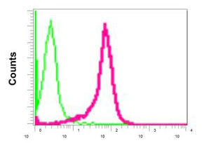 Flow Cytometry (Intracellular) - Anti-MST4 antibody [EPR12766] - BSA and Azide free (AB249938)