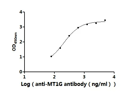 Sandwich ELISA - Anti-MT1G antibody (AB193329)