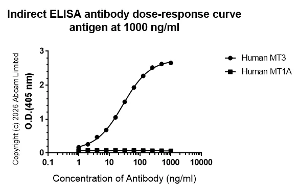 Indirect ELISA - Anti-MT3 antibody [EPR27532-64] - BSA and Azide free (AB327362)