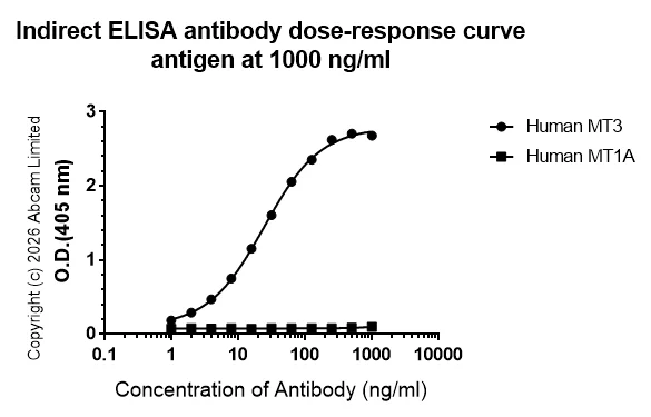 Indirect ELISA - Anti-MT3 antibody [EPR27532-88] - BSA and Azide free (AB327361)
