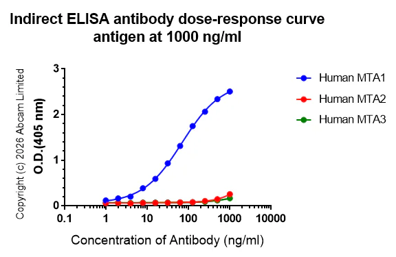 Indirect ELISA - Anti-MTA1 antibody [EPR26320-543] (AB326880)