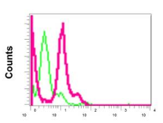 Flow Cytometry (Intracellular) - Anti-MTA3 antibody [EPR12777(B)] (AB176346), expandable thumbnail