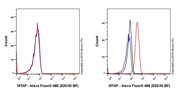 Flow Cytometry (Intracellular) - Anti-MTAP antibody [EPR22570-76] - BSA and Azide free (AB256356)