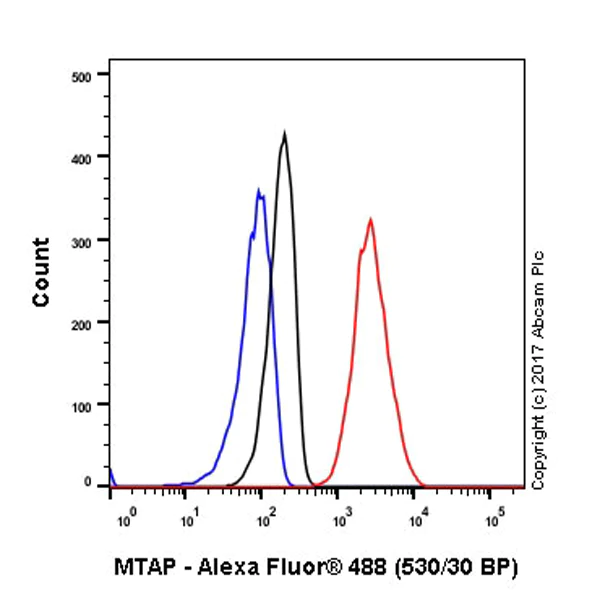 Flow Cytometry (Intracellular) - Anti-MTAP antibody [EPR6893] (AB126770)
