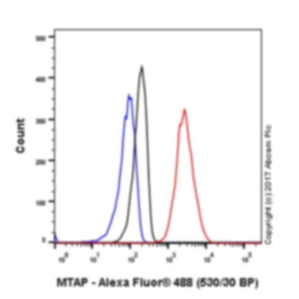 Flow Cytometry (Intracellular) - Anti-MTAP antibody [EPR6893] - BSA and Azide free (AB232417)