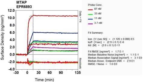 OI-RD Scanning - Anti-MTAP antibody [EPR6893] - BSA and Azide free (AB232417)