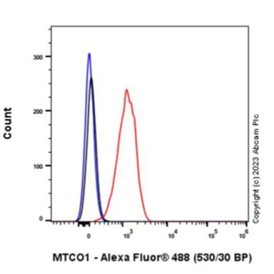 Flow Cytometry - Anti-MTCO1 antibody [1D6E1A8] - BSA and Azide free (AB309362)