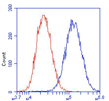 Flow Cytometry - Anti-MTCO2 antibody [12C4F12] (AB110258)