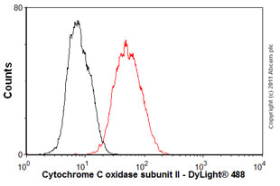 Flow Cytometry (Intracellular) - Anti-MTCO2 antibody [EPR3314] - BSA and Azide free (AB239889), expandable thumbnail