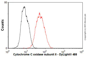 Flow Cytometry (Intracellular) - Anti-MTCO2 antibody [EPR3314] - BSA and Azide free (AB239889)