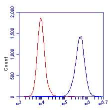 Flow Cytometry - Anti-MTCO2 antibody [MM7D-5A11CA9] (AB156031)