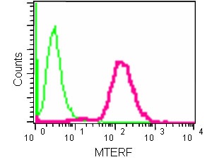 Flow Cytometry (Intracellular) - Anti-MTERF antibody [EPR14202] (AB181836)