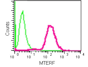 Flow Cytometry (Intracellular) - Anti-MTERF antibody [EPR14202] - BSA and Azide free (AB250513)