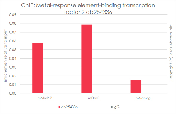 ChIP - Anti-MTF2 antibody [EPR23536-87] - ChIP Grade (AB254336)