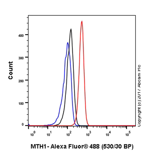 Flow Cytometry (Intracellular) - Anti-MTH1 antibody [EPR15934] (AB197028)