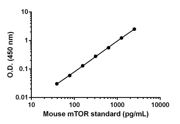 Sandwich ELISA - Anti-mTOR antibody [EPR18152-71] - BSA and Azide free (Detector) (AB242766)