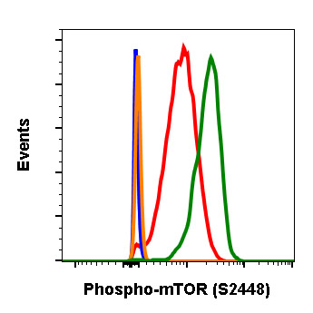 Flow Cytometry - Anti-mTOR (phospho S2448) antibody [mTORS2448-E11] (AB278621), expandable thumbnail