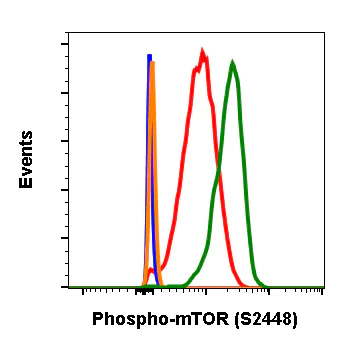 Flow Cytometry - Anti-mTOR (phospho S2448) antibody [mTORS2448-E11] (AB278621)