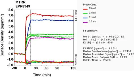 OI-RD Scanning - Anti-MTRR/MSR antibody [EPR8349] - BSA and Azide free (AB248318)