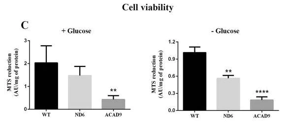 Functional Studies - MTS Assay Kit (Cell Proliferation) (Colorimetric) (AB197010)