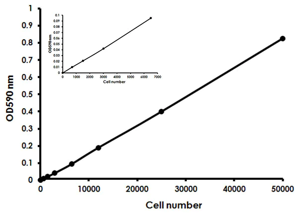 Functional Studies - MTT Assay Kit (Cell Proliferation) (AB211091)