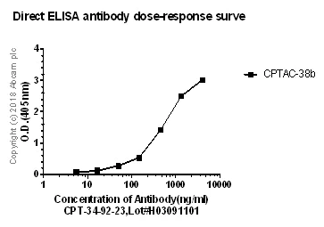 ELISA - Anti-MUC16 antibody [CPT-R34-92-23] - BSA and Azide free (AB251589)