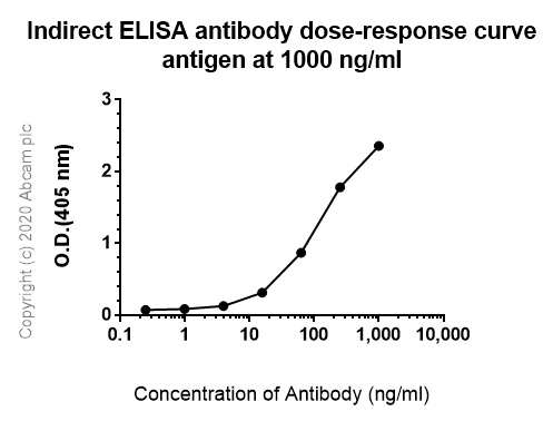 Indirect ELISA - Anti-MUC2 antibody [EPR6145] - Low endotoxin, Azide free (AB177278)