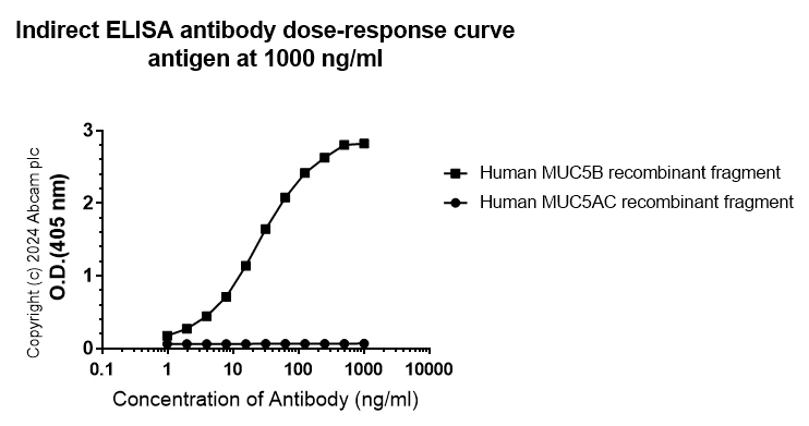Indirect ELISA - Anti-MUC5B antibody [EPR27200-159] (AB315330)