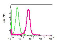 Flow Cytometry (Intracellular) - Anti-Munc 13-4 antibody [EPR4914] (AB109113)