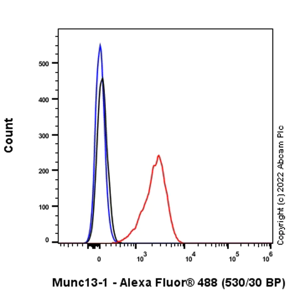 Flow Cytometry (Intracellular) - Anti-Munc13-1 antibody [EPR27022-47] - BSA and Azide free (AB307512)