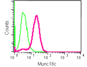 Flow Cytometry (Intracellular) - Anti-Munc18c antibody [EPR12446] (AB182004)