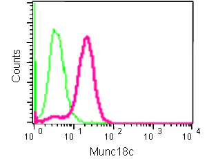 Flow Cytometry (Intracellular) - Anti-Munc18c antibody [EPR12446] (AB182004)