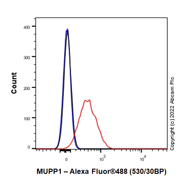 Flow Cytometry (Intracellular) - Anti-MUPP1 antibody [EPR26317-59] (AB302621)