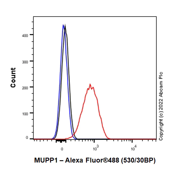 Flow Cytometry (Intracellular) - Anti-MUPP1 antibody [EPR26317-59] (BSA and Azide free) (AB302622)