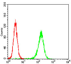 Flow Cytometry - Anti-MURF1 antibody [7B8E1] (AB201941), expandable thumbnail