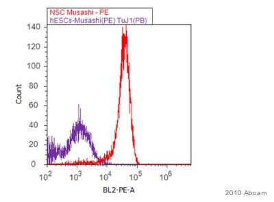 Flow Cytometry (Intracellular) - Anti-Musashi 1 / Msi1 antibody [EP1302] - BSA and Azide free (ab221797), expandable thumbnail
