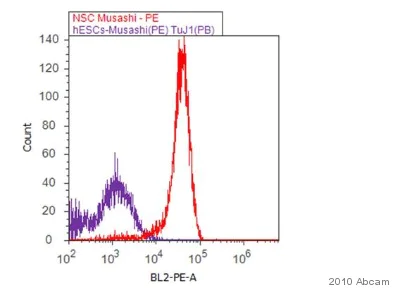Flow Cytometry (Intracellular) - Anti-Musashi 1 / Msi1 antibody [EP1302] - BSA and Azide free (AB221797)