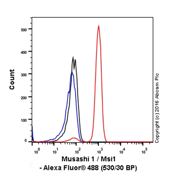 Flow Cytometry (Intracellular) - Anti-Musashi 1 / Msi1 antibody [EP1302] - BSA and Azide free (AB221797)