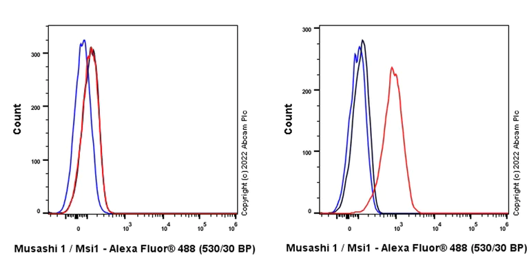 Flow Cytometry (Intracellular) - Anti-Musashi 1 / MSI1 antibody [EPR26106-92] (AB305170)