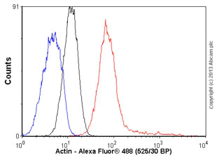 Flow Cytometry (Intracellular) - Anti-muscle Actin antibody [EPR8484] - Loading Control (AB156302)