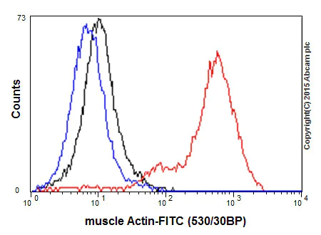 Flow Cytometry (Intracellular) - Anti-muscle Actin antibody [EPR8484] - Loading Control (AB156302)